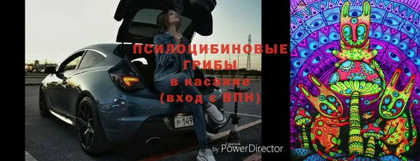 дживик Баксан