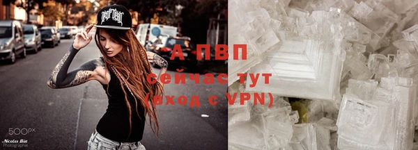 крисы Балахна