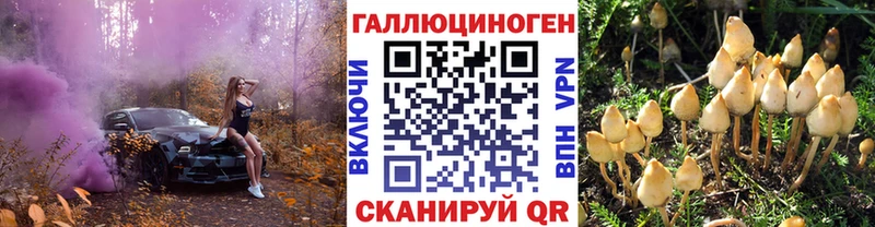shop как зайти  Верхотурье  Псилоцибиновые грибы мухоморы 